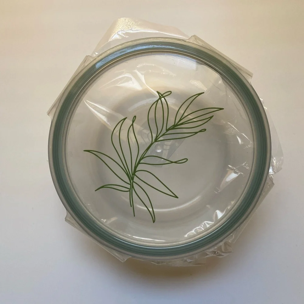 🍃🍃FOOD STORAGE CONTAINER GLASS PLASTIC LID NEW Leaf Motif